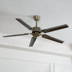 Ceiling Fan 52 Inch Quiet DC Motor Stainless Steel