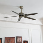 Ceiling Fan 52 Inch Quiet DC Motor Stainless Steel