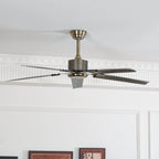 Ceiling Fan 52 Inch Quiet DC Motor Stainless Steel