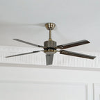 Ceiling Fan 52 Inch Quiet DC Motor Stainless Steel