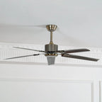 Ceiling Fan 52 Inch Quiet DC Motor Stainless Steel