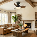 Ceiling Fan 55 cm Integrated LED Remote