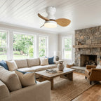 Ceiling Fan 55 cm Integrated LED Remote