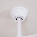 Ceiling Fan Integrated LED & Remote Control