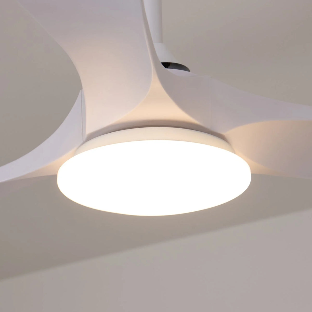 Ceiling Fan Integrated LED & Remote Control