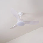 Ceiling Fan Integrated LED & Remote Control