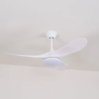 Ceiling Fan Integrated LED & Remote Control