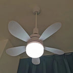 Ceiling Fan LED Light 1000 Lumens Remote Control E26 Socket