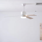 Ceiling Fan LED Light Quiet DC Motor 52 Inch
