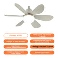 Ceiling Fan LED Light & Remote Control