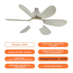 Ceiling Fan LED Light & Remote Control