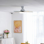 Ceiling Fan LED Light & Remote Quiet Reversible Motor