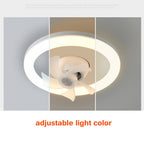 Ceiling Fan Lamp 2-in-1 Adjustable Color Temp & Remote