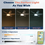 Ceiling Fan Lamp Remote Control & Quiet Motor