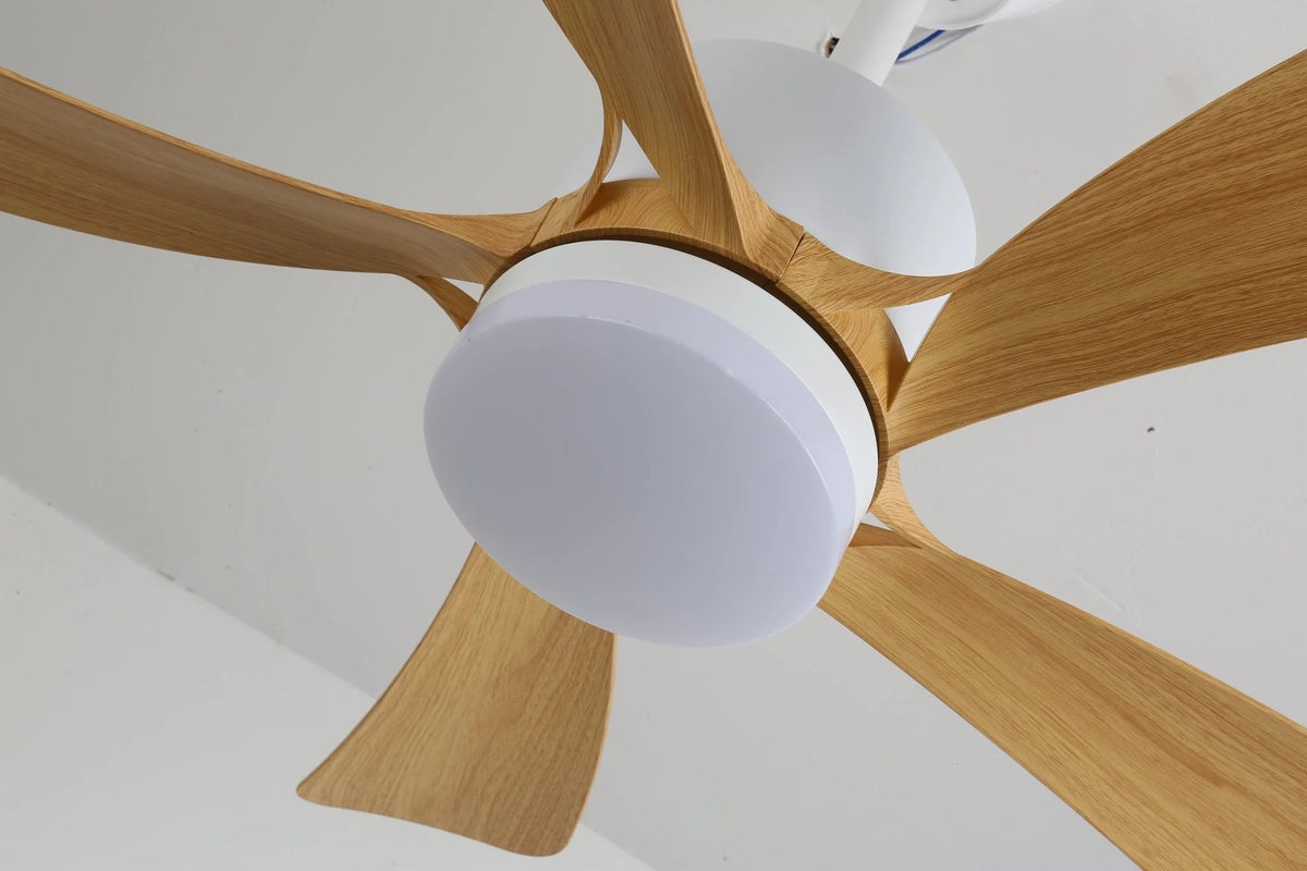 Ceiling Fan Light Dimmable LED Remote Control & 6-Speed