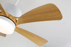 Ceiling Fan Light Dimmable LED Remote Control & 6-Speed