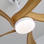 Ceiling Fan Light Dimmable LED Remote Control & 6-Speed