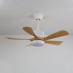 Ceiling Fan Light Dimmable LED Remote Control & 6-Speed