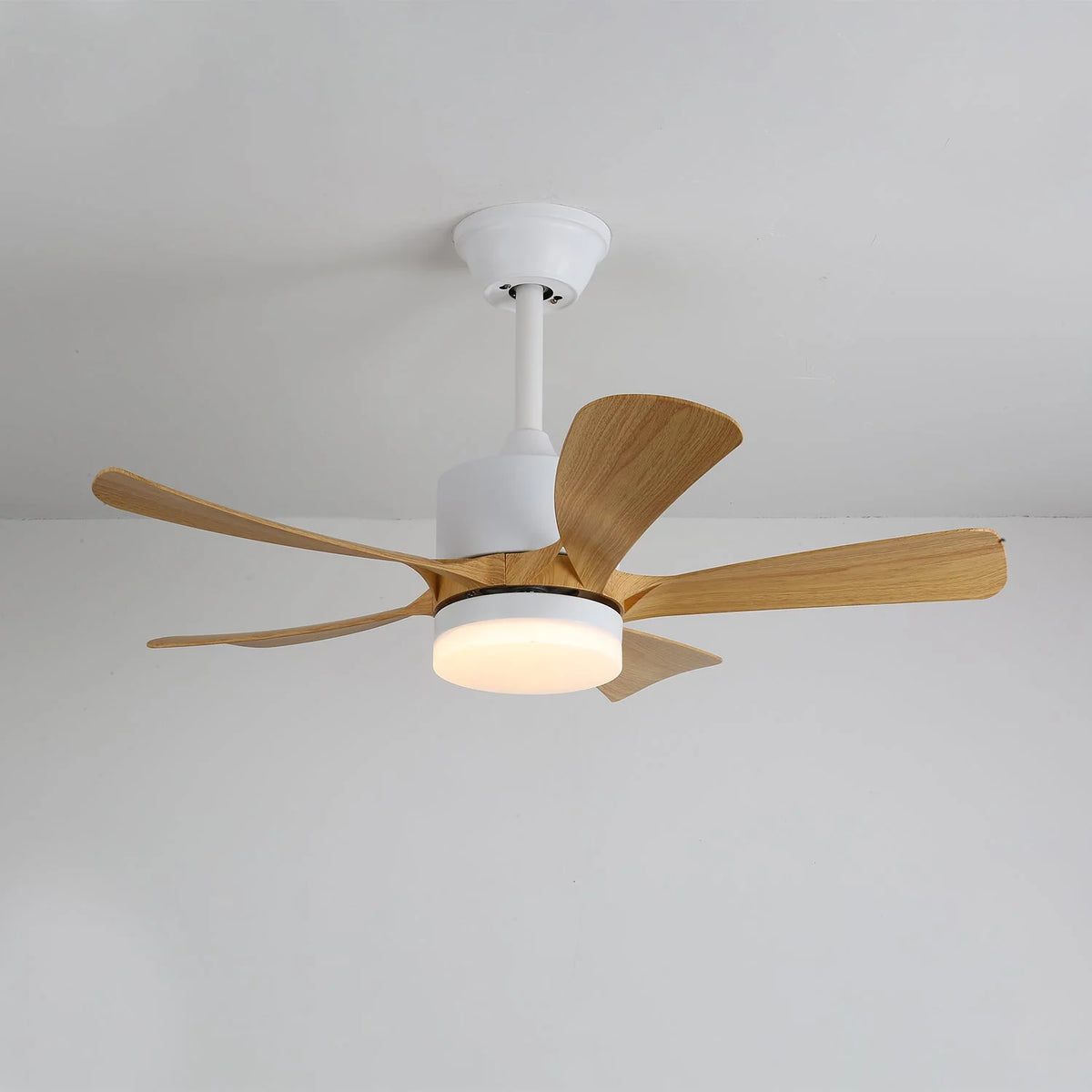 Ceiling Fan Light Dimmable LED Remote Control & 6-Speed