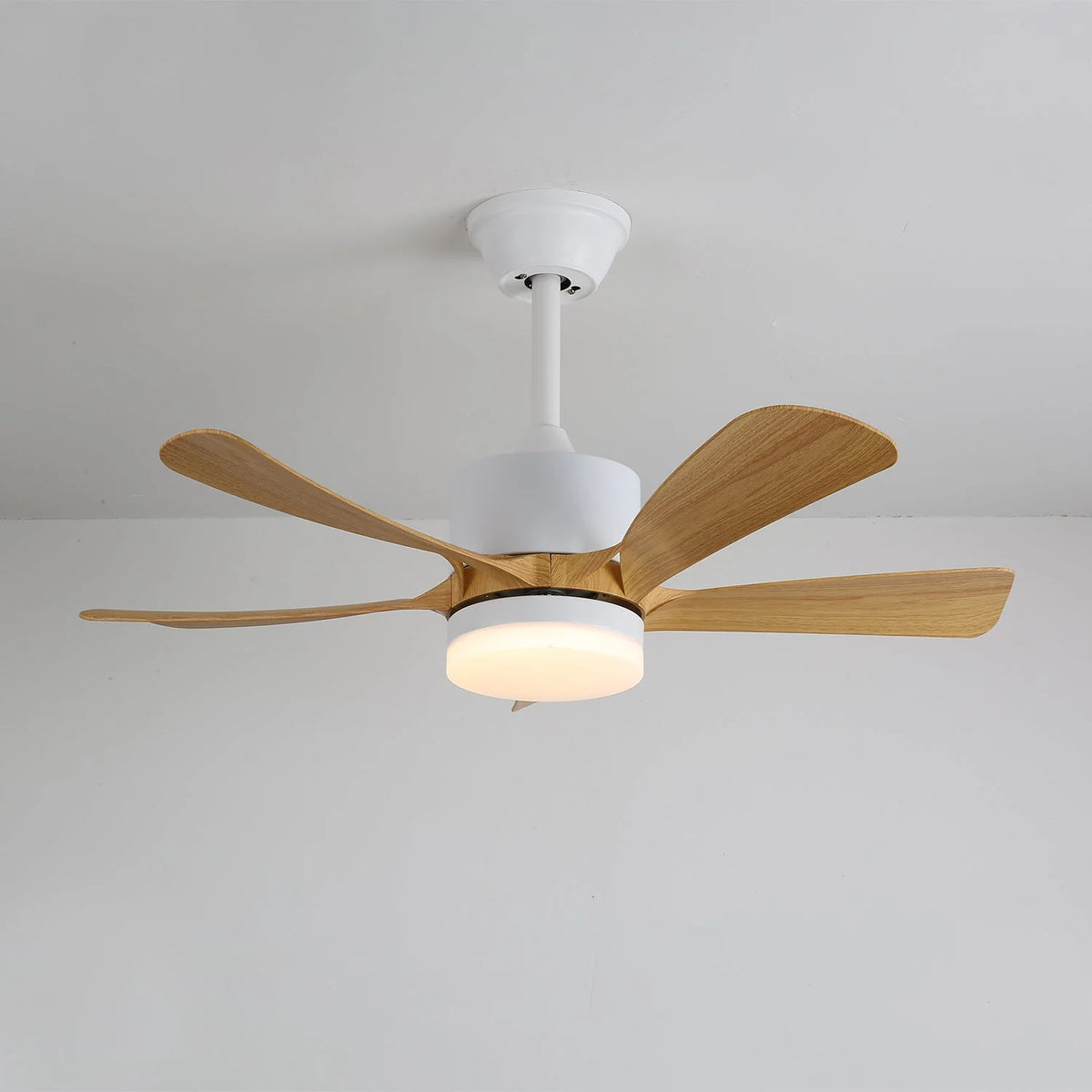 Ceiling Fan Light Dimmable LED Remote Control & 6-Speed