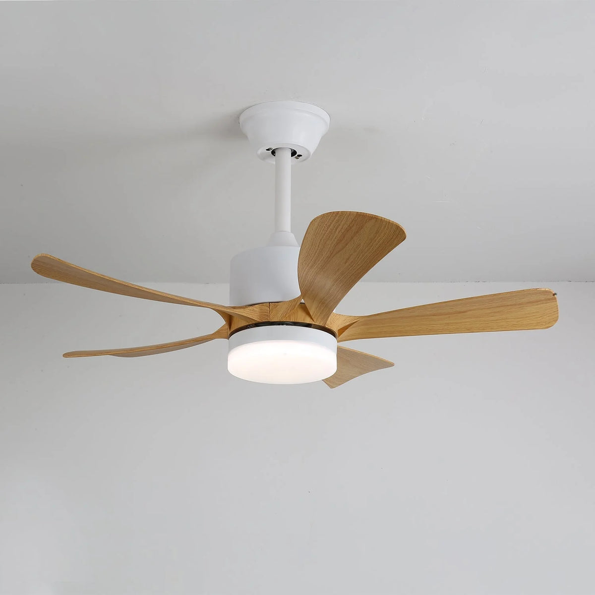 Ceiling Fan Light Dimmable LED Remote Control & 6-Speed