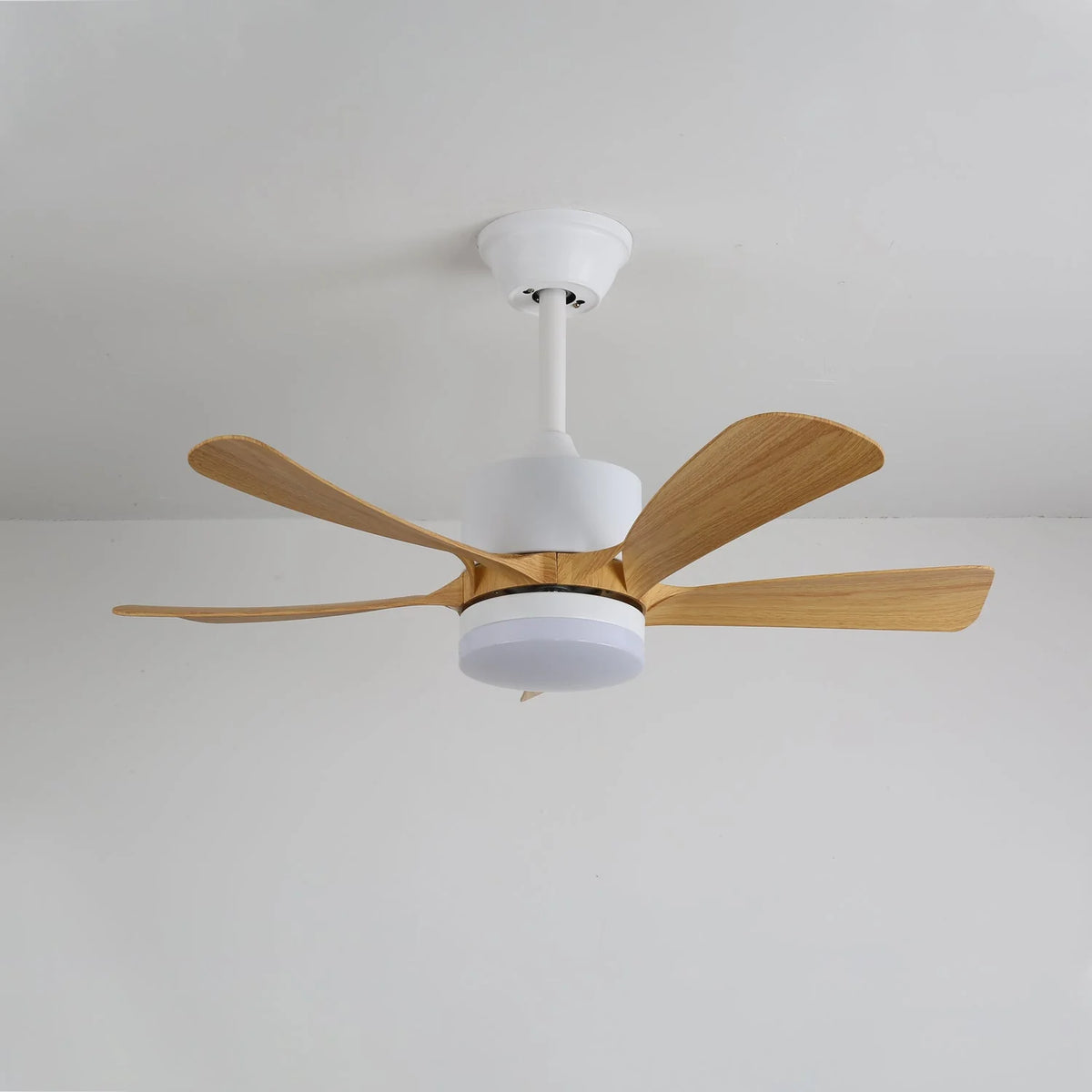 Ceiling Fan Light Dimmable LED Remote Control & 6-Speed