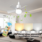 Ceiling Fan Light Dimmable LED Warm-to-Cool Remote Control