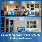 Ceiling Fan Light Three-Color Dimming & Remote