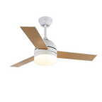 Ceiling Fan Minimalist Integrated LED & Quiet Copper Motor