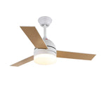 Ceiling Fan Minimalist Integrated LED & Quiet Copper Motor