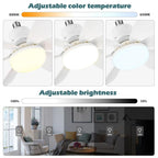 Ceiling Fan Multicolor Blades Remote Control & Quiet Motor