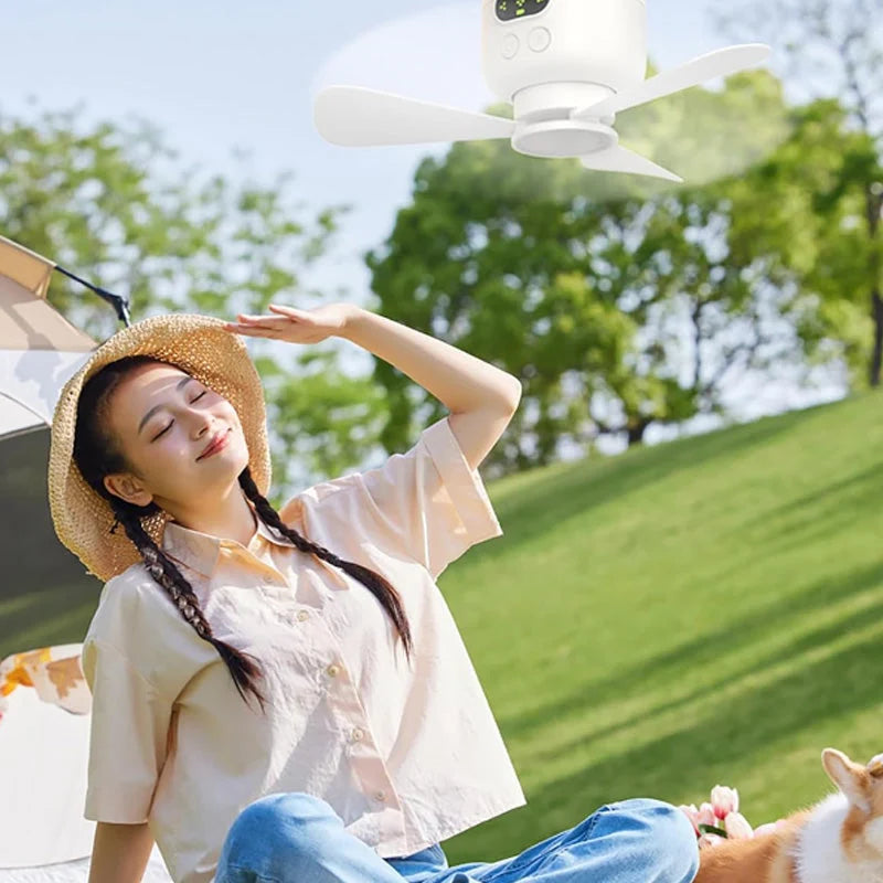 Ceiling Fan Rechargeable 8000 mAh Quiet LED Light