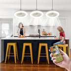 Ceiling Fan With Light Screw-In 2100 Lumens Remote Included