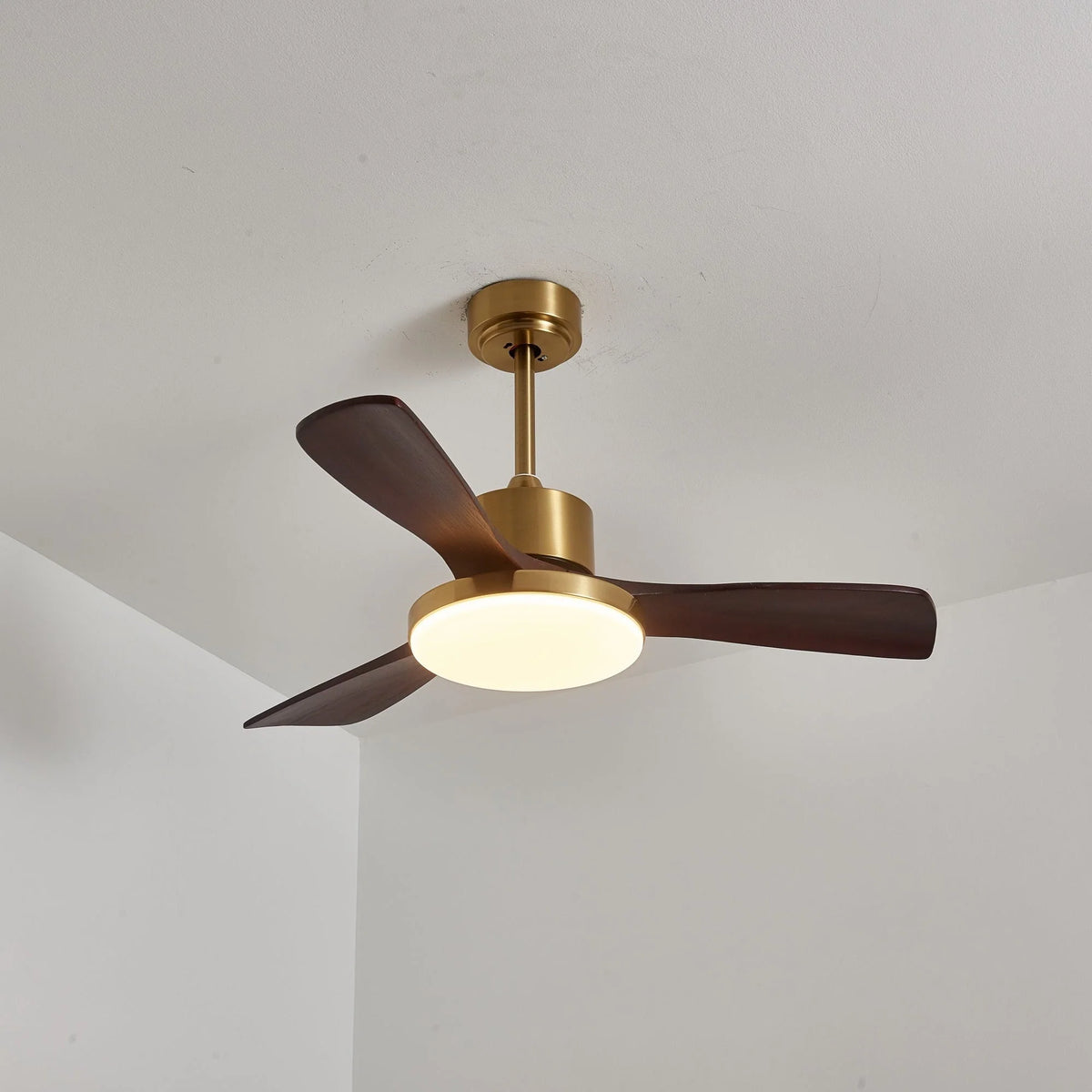 Ceiling Fan Wood Blades Integrated LED Remote Control