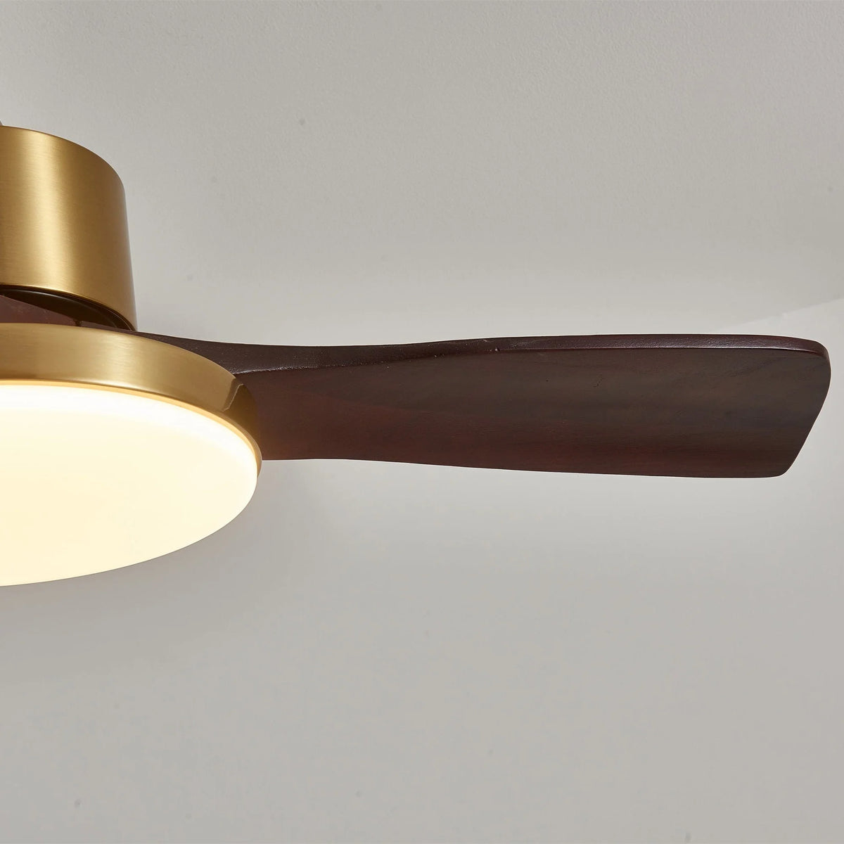 Ceiling Fan Wood Blades Integrated LED Remote Control