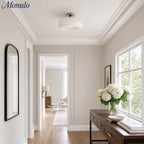 Ceiling Lamp Bauhaus Glass Disc Brass & Chrome