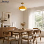 Ceiling Lamp Bauhaus Glass Disc Brass & Chrome