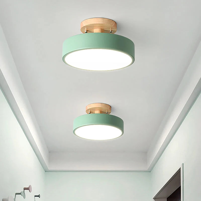 Ceiling Lamp Integrated LED Selectable Color Temp