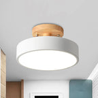 Ceiling Lamp Integrated LED Selectable Color Temp