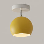Ceiling Lamp Iron Frame Wood Accents E26 Socket