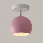 Ceiling Lamp Iron Frame Wood Accents E26 Socket