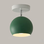 Ceiling Lamp Iron Frame Wood Accents E26 Socket