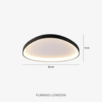 Ceiling Lamp LED Dimmable With Remote