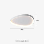 Ceiling Lamp LED Dimmable With Remote