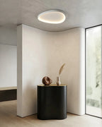 Ceiling Lamp LED Dimmable With Remote