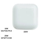 Ceiling Lamp Moisture-Resistant Energy-Efficient LED