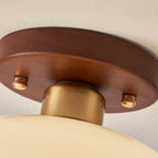 Ceiling Lamp Opal Glass Shade Soft Even Light