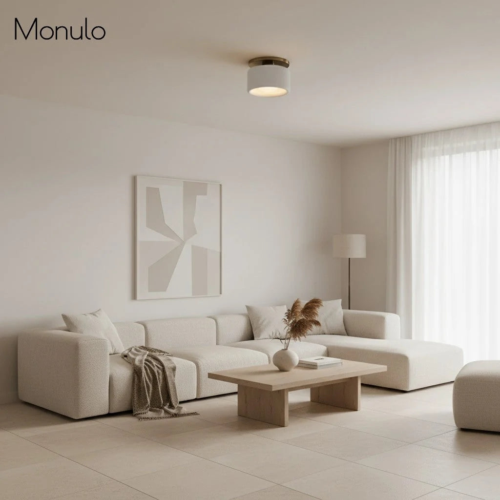 Ceiling Lamp Porcelain Round Low Profile Soft Diffused Light