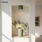 Ceiling Lamp Porcelain Round Low Profile Soft Diffused Light