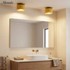 Ceiling Lamp Porcelain Round Low Profile Soft Diffused Light